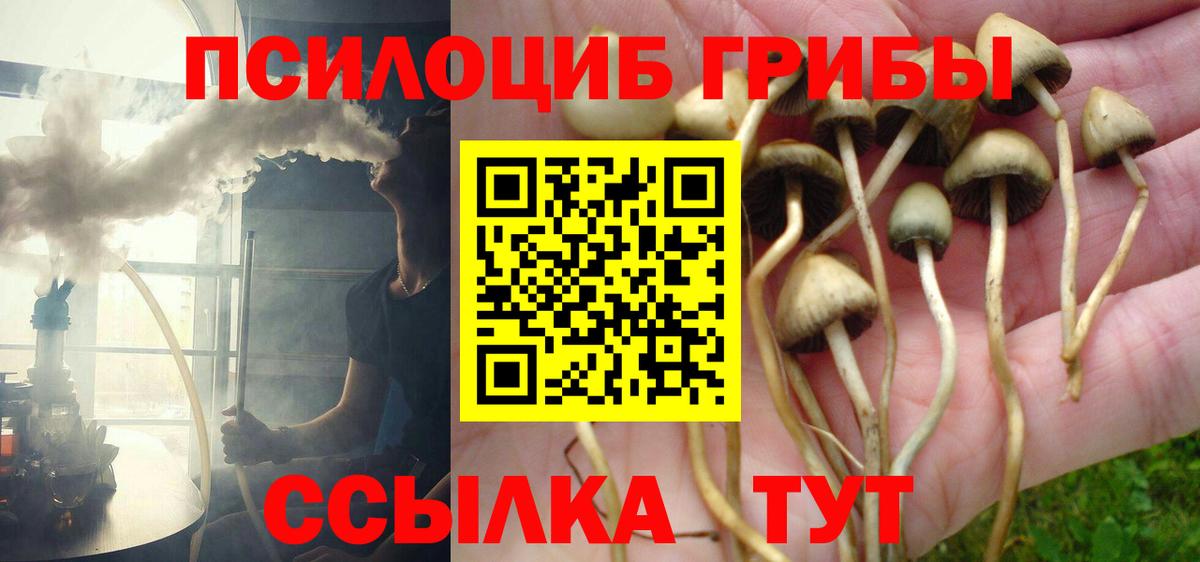 Галлюциногенные грибы Magic Shrooms Шелехов