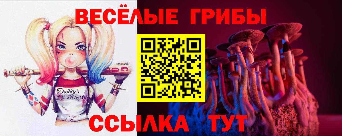Псилоцибиновые грибы мицелий  Вход с VPN  Шелехов  Галлюциногенные грибы мицелий 
